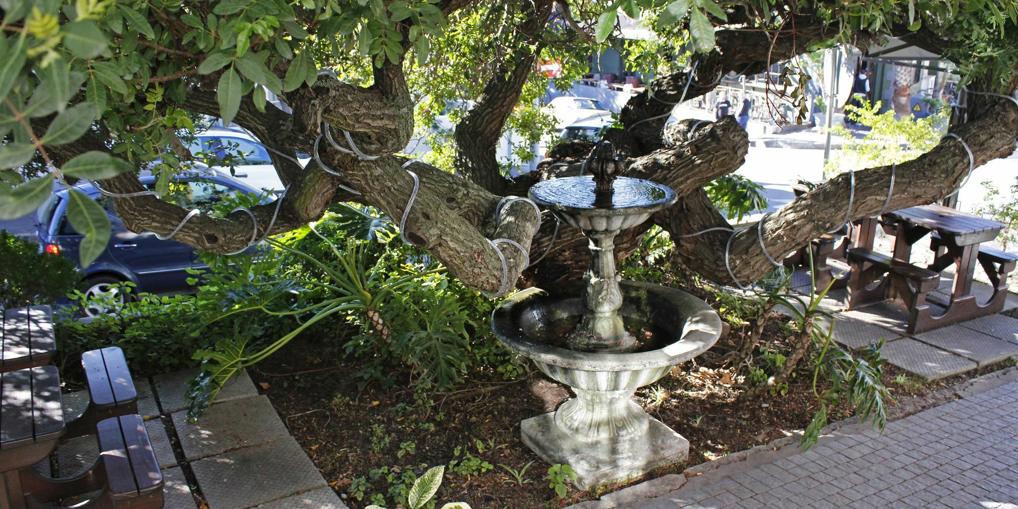 Dixon House In De Waterkant By Cape Finest Kapstaden Eksteriør billede
